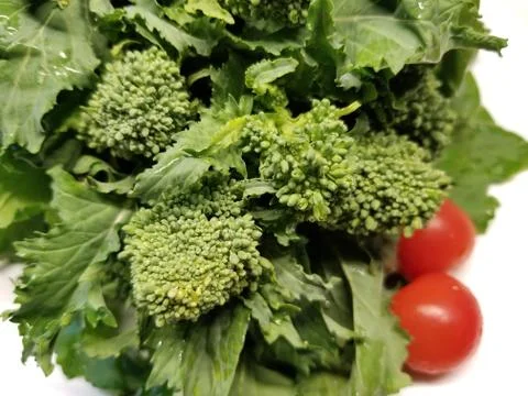 Uncooked Broccoli Rabe (2) Stock Photos