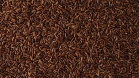 Uncooked brown rice grains rotating slowly Stock Footage 342437064