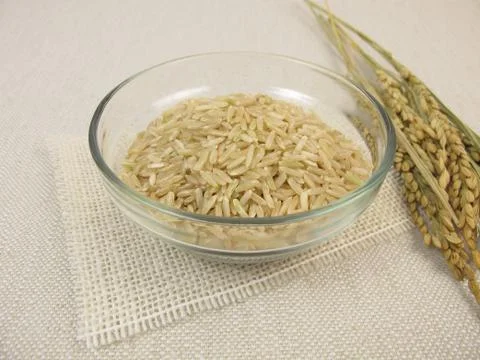 Uncooked brown rice Stock Photos