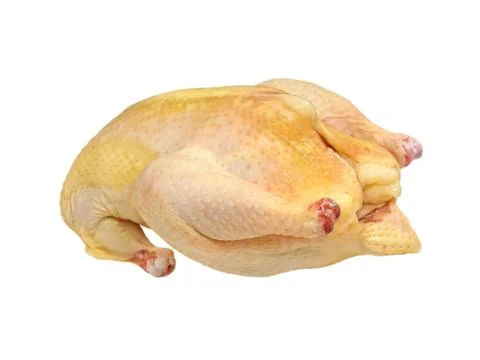 Uncooked chicken. Stock Photos