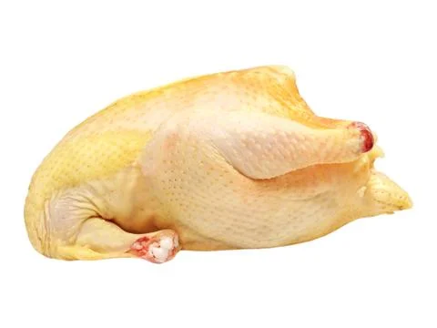 Uncooked chicken. Stock Photos