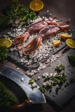 Uncooked cuttlefish Stock Photos