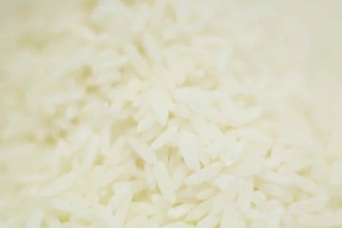 Uncooked dry rice Stock-Fotos