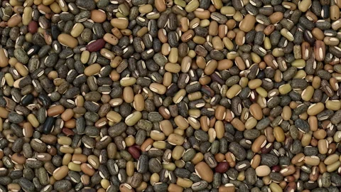 Uncooked dry roasted ricebean. Stock Footage 276963542