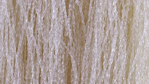 Uncooked dry transparent white arrowroot noodles circle rotation close up Stock Footage 235659373