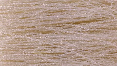 Uncooked dry transparent white arrowroot noodles circle rotation close up Stock Footage 236932565