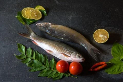 Uncooked fish on a black background Stock Photos