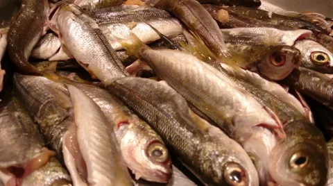 Uncooked fish for fry pan Stock Footage 55842760