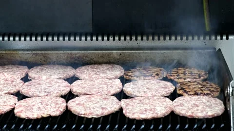 Uncooked Hamburger Stock Footage 162814747