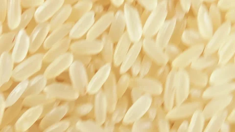 Uncooked Long Grain Parboiled Rice, Rotating Background - Top View 스톡 동영상 201730868