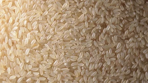 Uncooked Long Grain Parboiled Rice, Rotating Background - Top View Stock Footage 259319451