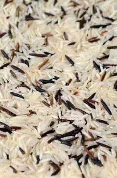 Uncooked Mixed Rice Stock Photos