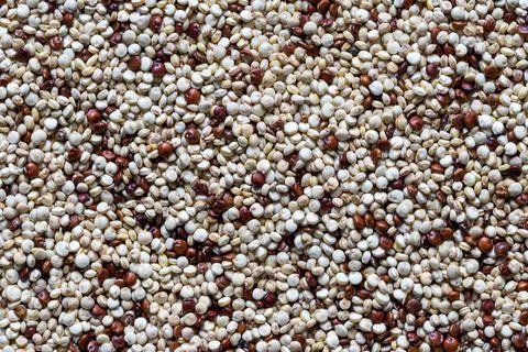 Uncooked mixture of red and white quinoa. Food texture. Stock Photos