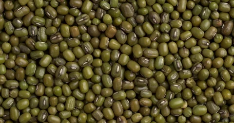 Uncooked mung beans as an background texture. Video stock 295370956