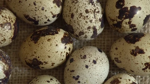 Uncooked quail eggs in pack. Rotating and closeup. Nobody Stock Footage 89671234