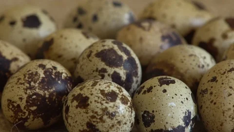 Uncooked quail eggs in pack. Rotating and closeup. Nobody Stock Footage 89700801