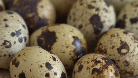 Uncooked quail eggs in pack. Rotating and closeup. Nobody Stock Footage 93801331