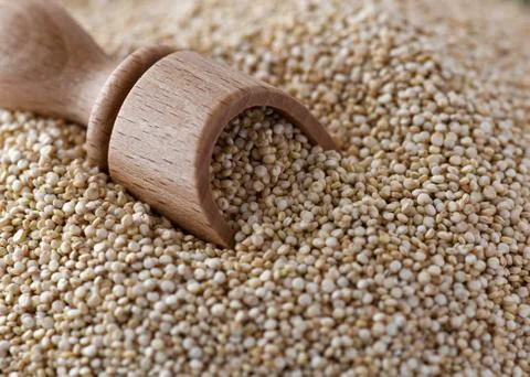 Uncooked quinoa Stock Photos