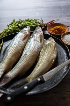 Uncooked raw fish Stock Photos