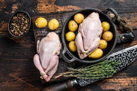 Uncooked raw quails ready for cooking in a pan. Dark wooden background. Top view Stock Photos