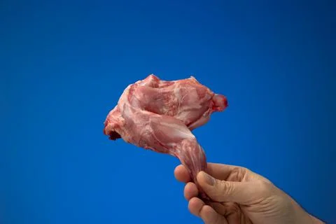 Uncooked raw rabbit or hare leg held in hand by Caucasian male. Close studio  스톡 사진