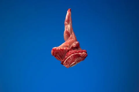 Uncooked raw rabbit or hare legs. Close up top view studio shot, no people Stock Photos