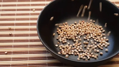 Uncooked raw Sorghum (also known as sorgo) falling in a back bowl, isolated Stock Footage 117439241