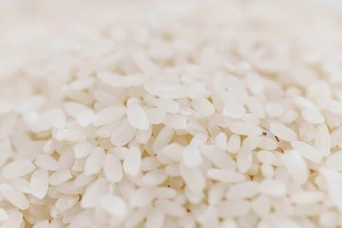 Uncooked rice. background Stock Photos