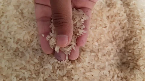 Uncooked  rice. Stock Footage 140952820