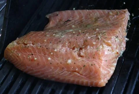 Uncooked salmon on grill Stock Photos