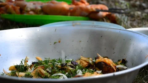 Uncooked shish kebab in a pot Stock Footage 126898160