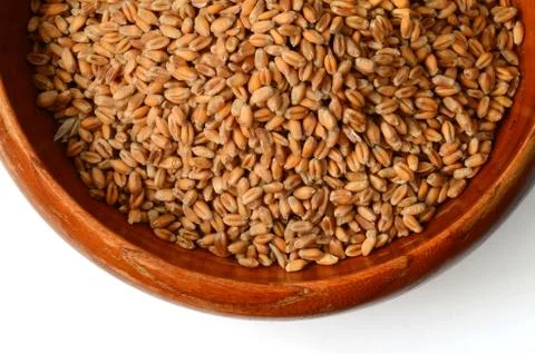 Uncooked wheat grain Stock Photos