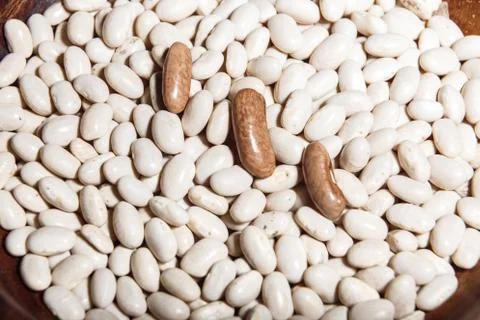 Uncooked white beans closeup macro Stock Photos