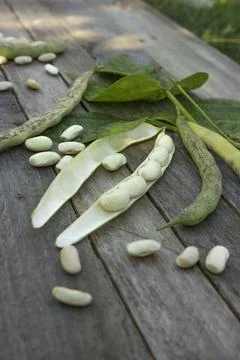 Uncooked  white haricot beans on rustic table Stock Photos