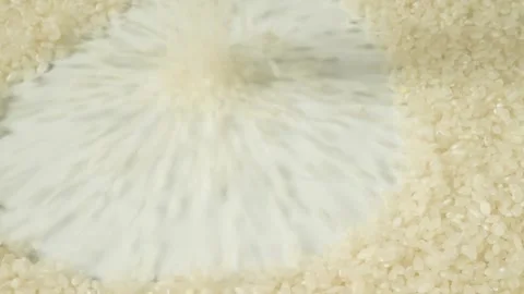 Uncooked white rice pouring onto a white background Stock Footage 335836736