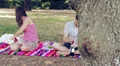 uncork,toast,drink,red wine in the park - tracking shot - dolly HD Footage