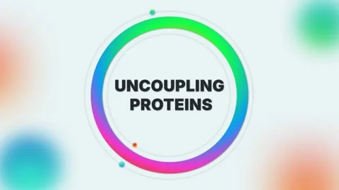 Uncoupling Proteins text animation on light gradient medical background Stock Footage 314423723