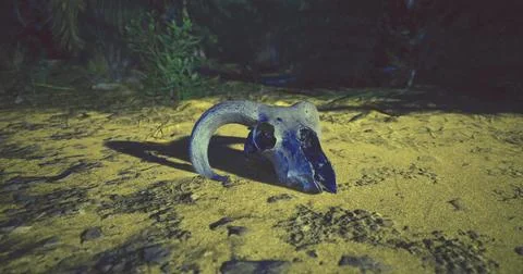 Uncovered ram skull resting on sandy ground surrounded by vegetation Stock Illustration