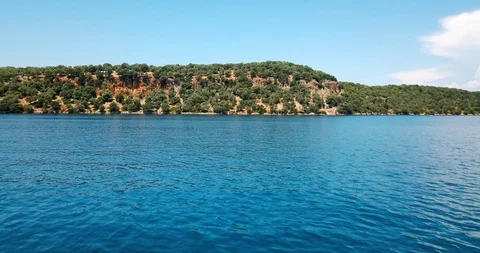 Uncultivated coastline with pine trees and seascape Stock Footage 108095162