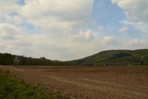Uncultivated field Stock Photos