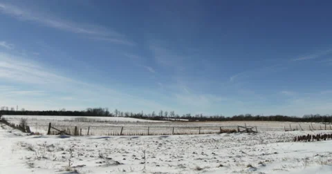 Uncultivated fields in organic farm in winter Stock Footage 46440800