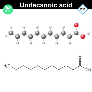 Undecanoic acid atomic structure Illustrazione stock