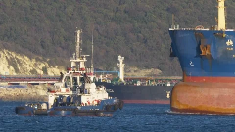Undefined Stock Footage 339970280