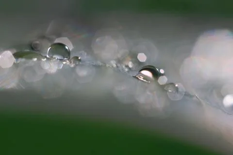 Undefined Stock Photos