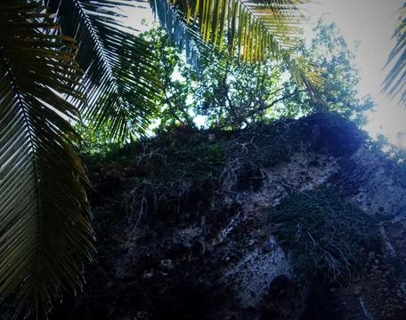 Under a beautiful cliff Foto stock