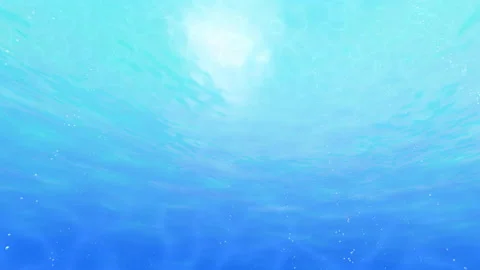 Under the blue sea C02 Stock Footage 199298498