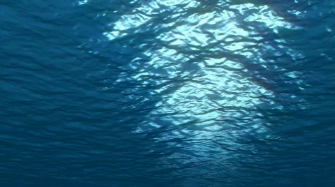 Under Blue Water Ocean Stock-Footage 790065