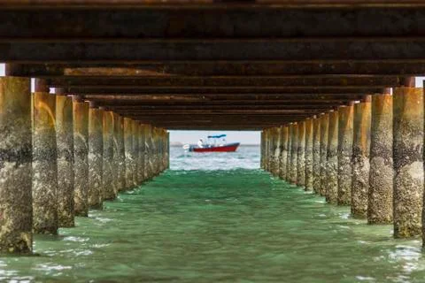 Under the Boardwalk Stock Photos
