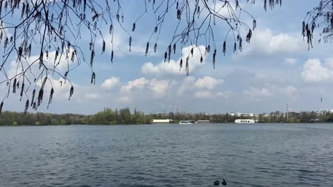 From under the branches of a tree, a view of  the expanses of lake. Stock Footage 239019471