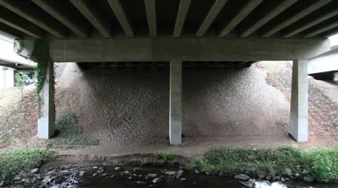 Under a Bridge Stock Footage 23859010